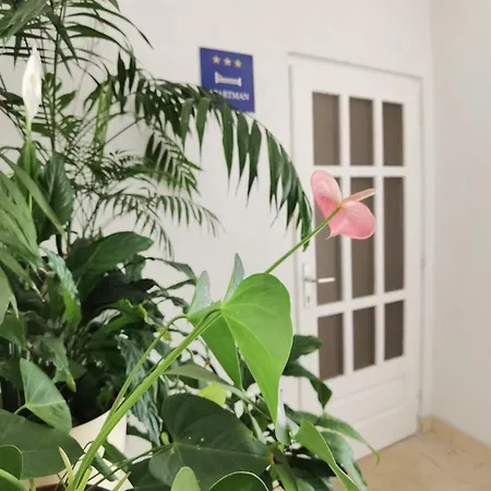 Apartamento Jadranka Makarska