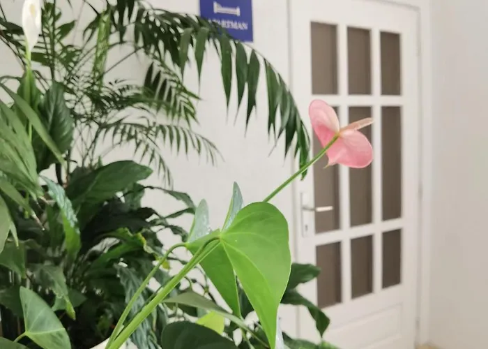 Appartamento Jadranka Makarska