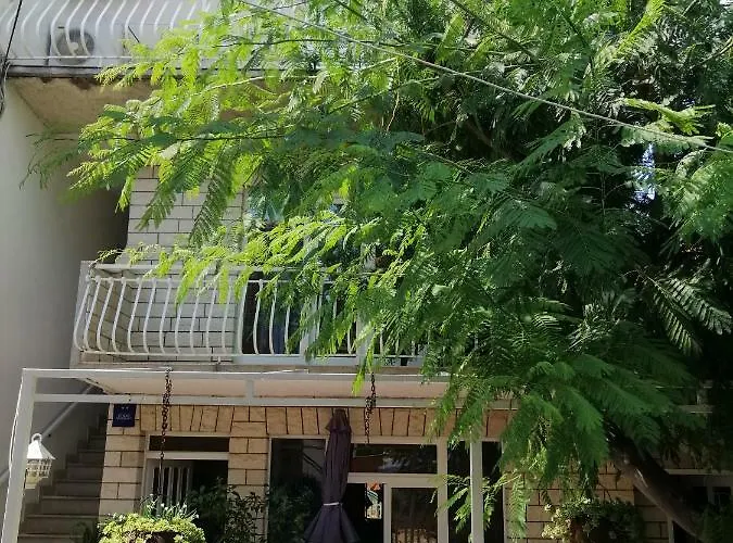 Jadranka Daire Makarska